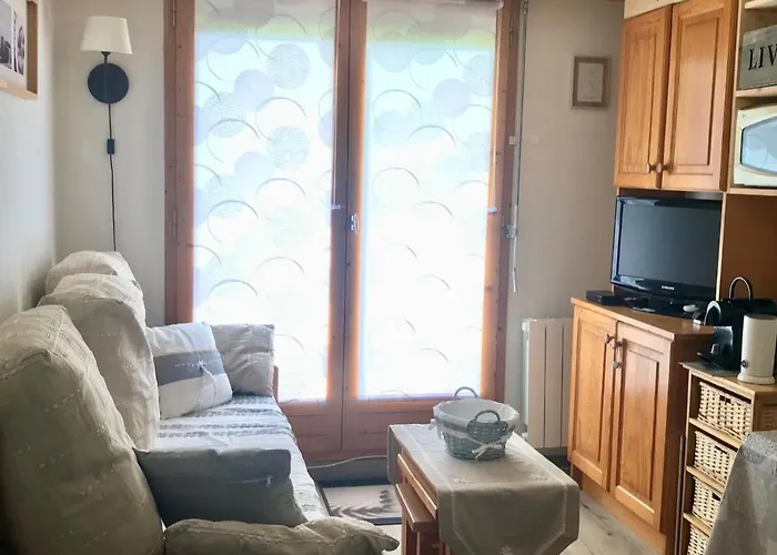 公寓 Renove Aux Pieds, 4 Pers, Balcon - Fr-1-181-2465